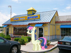 Size: 550x412 | Tagged: safe, bon bon, sweetie drops, g4, irl, longbon, photo, ponies in real life, restaurant