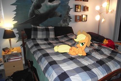 Size: 4000x2664 | Tagged: safe, artist:venom2204, applejack, earth pony, pony, shark, g4, bed, blanket, irl, lamp, photo, picture, ponies in real life, prone, smiling, solo, table, vector