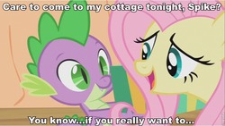 Size: 853x482 | Tagged: safe, fluttershy, spike, g4, female, image macro, male, ship:flutterspike, shipping, straight