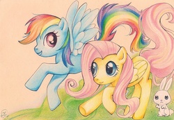 Size: 1129x781 | Tagged: safe, artist:sellue, angel bunny, fluttershy, rainbow dash, g4, traditional art