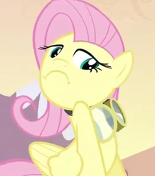 Size: 243x276 | Tagged: safe, edit, edited screencap, screencap, fluttershy, g4, hurricane fluttershy, frown, inverted mouth, not bad, reaction image
