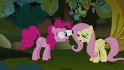 Size: 640x360 | Tagged: safe, screencap, fluttershy, pinkie pie, earth pony, pegasus, pony, bridle gossip, g4, duo, everfree forest, eye bulging, flutterguy, special eyes, spitty pie, tongue out, tree