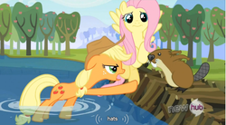 Size: 766x423 | Tagged: safe, screencap, applejack, fluttershy, beaver, g4, keep calm and flutter on, team fortress 2, youtube caption