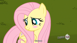 Size: 763x421 | Tagged: safe, edit, edited screencap, screencap, fluttershy, pegasus, pony, g4, keep calm and flutter on, blushing, caption, female, hub logo, mare, solo, youtube caption