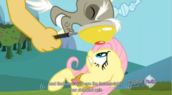 Size: 767x424 | Tagged: safe, screencap, discord, fluttershy, g4, keep calm and flutter on, youtube caption