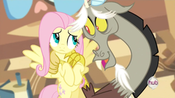 Size: 1280x720 | Tagged: safe, screencap, discord, fluttershy, g4, keep calm and flutter on, season 3, female, hub logo, male