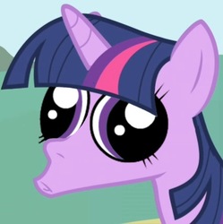 Size: 427x429 | Tagged: safe, edit, edited screencap, screencap, twilight sparkle, friendship is magic, g4, faic, great moments in animation, hey you, wat