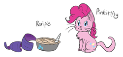 Size: 1613x753 | Tagged: safe, artist:whatsapokemon, pinkie pie, rarity, cat, g4, :3, catified, chest fluff, duo, female, lesbian, literal, looking at you, pinkie cat, pinkity, pun, ship:raripie, shipping, simple background, smiling, species swap, visual pun, white background