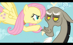 Size: 1024x640 | Tagged: safe, screencap, discord, fluttershy, g4, keep calm and flutter on, my little pony: friendship is magic, youtube caption