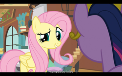 Size: 1024x640 | Tagged: safe, screencap, fluttershy, twilight sparkle, g4, keep calm and flutter on, youtube caption