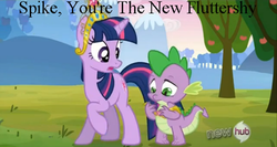 Size: 500x265 | Tagged: safe, fluttershy, spike, twilight sparkle, g4, keep calm and flutter on, hub logo