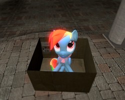 Size: 1280x1024 | Tagged: safe, artist:dakiehooves, rainbow dash, pony, fanfic:my little dashie, g4, 3d, box, female, filly, filly rainbow dash, foal, gmod, solo, younger