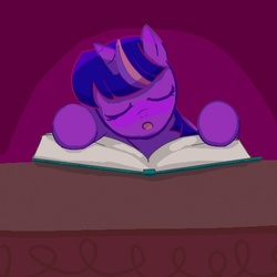 Size: 500x500 | Tagged: safe, artist:nyankamedon, twilight sparkle, pony, g4, book, female, pixiv, sleeping, solo