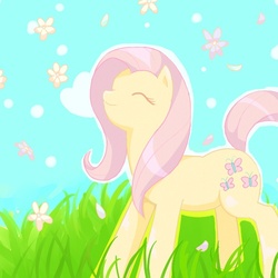 Size: 600x600 | Tagged: safe, artist:nyankamedon, fluttershy, pony, g4, female, pixiv, solo