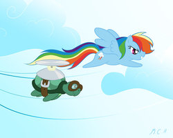 Size: 900x720 | Tagged: safe, artist:kiri-ri, rainbow dash, tank, g4, flying