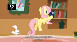 Size: 766x424 | Tagged: safe, screencap, angel bunny, fluttershy, g4, keep calm and flutter on, book, tv rating, youtube caption