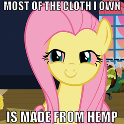 Size: 518x518 | Tagged: safe, fluttershy, pegasus, pony, g4, bloodshot eyes, female, flutterhigh, hemp, high, hippie, hippieshy, image macro, impact font, mare, smiling, solo