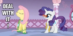 Size: 636x318 | Tagged: safe, edit, edited screencap, screencap, fluttershy, rarity, pegasus, pony, unicorn, g4, season 1, suited for success, deal with it, duo, eyes closed, female, glasses, measuring tape, messy mane, nose in the air
