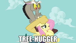 Size: 1280x720 | Tagged: safe, discord, fluttershy, g4, fluttertree, hilarious in hindsight, image macro, noogie