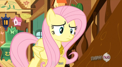 Size: 761x424 | Tagged: safe, screencap, fluttershy, g4, keep calm and flutter on, my little pony: friendship is magic, confused, hub logo, kurt, youtube caption