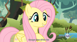 Size: 764x424 | Tagged: safe, screencap, fluttershy, g4, keep calm and flutter on, hub logo, youtube caption