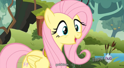 Size: 762x422 | Tagged: safe, screencap, fluttershy, g4, keep calm and flutter on, hub logo, youtube caption