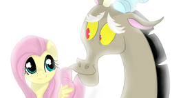 Size: 900x511 | Tagged: safe, artist:marisalle, discord, fluttershy, g4, keep calm and flutter on, duo, female, looking at each other, male, scene interpretation, simple background, white background