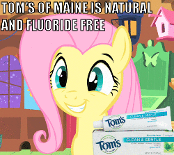 Size: 500x447 | Tagged: safe, edit, edited screencap, screencap, fluttershy, tom, g4, animated, female, product placement, smiling, squee, teeth
