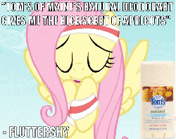 Size: 480x380 | Tagged: safe, edit, edited screencap, screencap, fluttershy, g4, animated, female, image macro, product placement, sweatband
