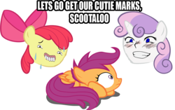 Size: 900x566 | Tagged: safe, apple bloom, scootaloo, sweetie belle, g4, meme