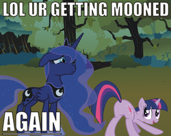 Size: 286x228 | Tagged: safe, princess luna, twilight sparkle, g4, butt, duo, image macro, mooning, plot