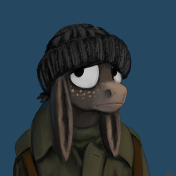 Size: 3000x3000 | Tagged: safe, artist:gordonfreeguy, oc, oc only, donkey, freckles, hat