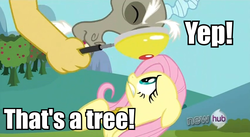 Size: 850x466 | Tagged: safe, edit, edited screencap, screencap, discord, fluttershy, g4, keep calm and flutter on, hub logo, image macro, magnifying glass, tree