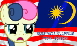 Size: 1000x600 | Tagged: safe, bon bon, sweetie drops, g4, cross-linguistic pun, flag, lol, malay, malaysia, name translation, patriotic, pun, text