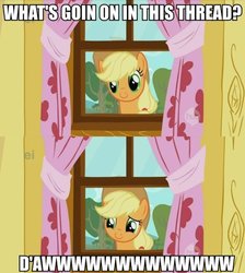 Size: 500x557 | Tagged: safe, screencap, applejack, g4, the show stoppers, c:, cute, daaaaaaaaaaaw, image macro, reaction image, smiling, what's going on in this thread, window