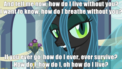 Size: 992x558 | Tagged: safe, edit, edited screencap, screencap, queen chrysalis, a canterlot wedding, g4, my little pony: friendship is magic, bedroom eyes, female, homestuck, image macro, lyrics, nicolas cage, solo, song reference