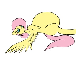 Size: 1024x768 | Tagged: safe, artist:salyacornlover555, fluttershy, pegasus, pony, g4, belly, female, flutterpred, impossibly large belly, lying down, mare, on back, spread wings, vore, wings