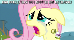 Size: 850x467 | Tagged: safe, fluttershy, g4, crying, image macro