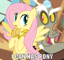 Size: 500x469 | Tagged: safe, discord, fluttershy, g4, keep calm and flutter on, image macro