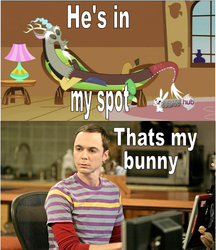 Size: 476x552 | Tagged: safe, angel bunny, discord, human, g4, crossover, irl, irl human, photo, sheldon cooper, that's my x, the big bang theory