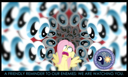 Size: 869x525 | Tagged: safe, edit, edited screencap, screencap, fluttershy, g4, hurricane fluttershy, canterlot intelligence agency, cia, eyeball, eyes, poster, propaganda