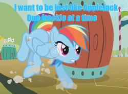 Size: 500x368 | Tagged: safe, edit, edited screencap, screencap, applejack, rainbow dash, pony, fall weather friends, g4, animation error, barrel, cropped, female, freckles, solo