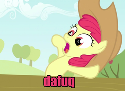 Size: 633x460 | Tagged: safe, edit, edited screencap, screencap, apple bloom, g4, the last roundup, caption, dafuq, fence, hat, reaction image