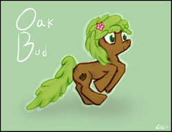 Size: 1052x806 | Tagged: safe, artist:coco, oc, oc only, earth pony, pony, solo