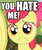 Size: 167x198 | Tagged: safe, apple bloom, g4, hate, image macro, lowres, sad