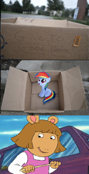 Size: 814x1584 | Tagged: safe, rainbow dash, pegasus, pony, g4, arthur, d.w., dashie meme, evil people finding dash meme, exploitable meme, meme