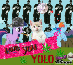 Size: 400x358 | Tagged: safe, rainbow dash, twilight sparkle, cat, g4, animated, blingee, cigar, disco ball, exploitable meme, female, hat, irl, kitten, love, male, meme, photo, pot, smoking, snoop dogg, swag, yolo