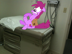 Size: 2048x1536 | Tagged: safe, artist:rad-toucan, berry punch, berryshine, g4, hospital, ponies in real life, room, vector