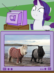 Size: 563x771 | Tagged: safe, rarity, g4, clothes, exploitable meme, irl, meme, photo, real pony, sweater, tv meme