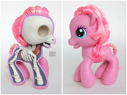 Size: 1000x746 | Tagged: safe, artist:jason freeny, pinkie pie (g3), g3, g3.5, anatomy, dissectibles, female, irl, organs, photo, toy